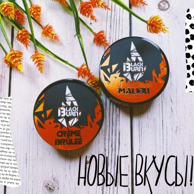 Новые вкусы Black Burn - Malibu и Creme Brulee