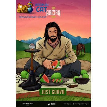 Табак для кальяна Asman Just Guava (Асман Гуава) 40г Акцизный