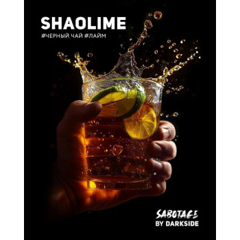 Табак для кальяна Dark Side Sabotage Shaolime (Дарк Сайд Саботаж Шаолайм) 30г Акцизный Табак для кальяна Dark Side Sabotage Shaolime (Дарк Сайд Саботаж Шаолайм) 30г Акцизный