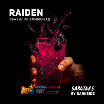 Табак для кальяна Dark Side Sabotage Raiden (Дарк Сайд Саботаж) 30г Акцизный