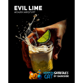 Табак Dark Side Sabotage Evil Lime 30г