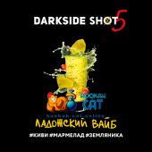 Табак Dark Side Shot Ладожский Вайб 30г Акцизный