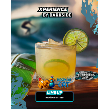 Табак для кальяна Dark Side Xperience Lime Up (Дарк Сайд Экспириенс) 30г Акцизный