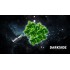 Заказать кальянный табак Darkside Dark Mint Soft / Base (Дарксайд Мята Софт / Бейз) 100г онлайн с доставкой всей России