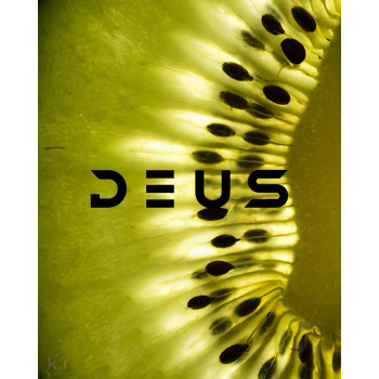 Табак для кальяна Deus Kiwi (Деус / Дэус Киви) 30г - фото 1 Табак для кальяна Deus Kiwi (Деус / Дэус Киви) 30г - фото 1