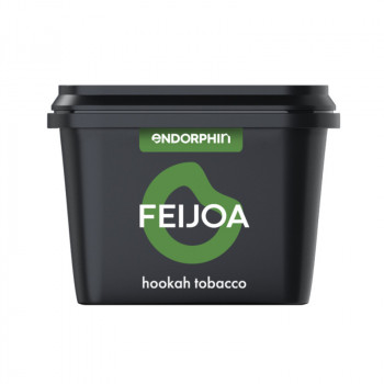 Табак для кальяна Endorphin Feijoa (Эндорфин Фейхоа) 60г - фото 1