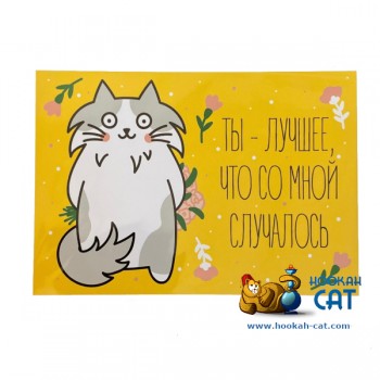 Открытка КОТКА - Ты Лучшее Что Со Мной Случалось - купить в Москве с доставкой по России