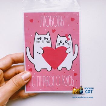 Открытка КОТКА - Любовь С Первого Кусь - купить в Москве с доставкой по России