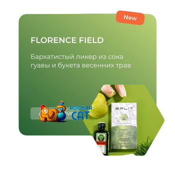 Бестабачная смесь для кальяна Split Florence Field 50г