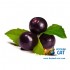 Табак для кальяна Afzal Acai Berry (Афзал Асаи) 40г Акцизный