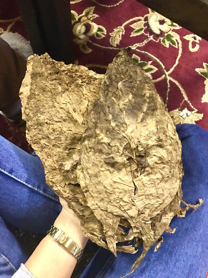 Листы табака WTO